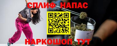СК Ярославль